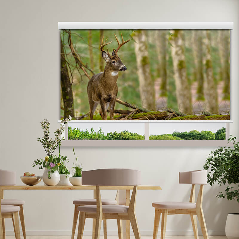 Printed Animal Blinds Reindeer Chennai Blinds